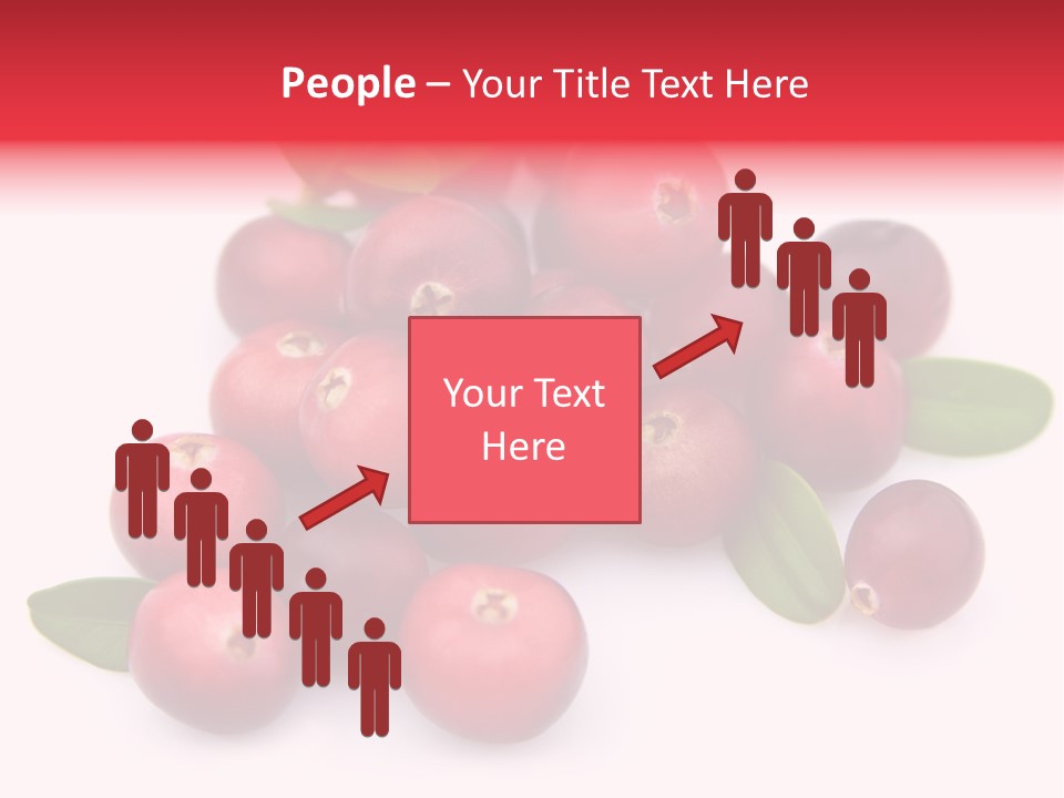 Red Cranberry Eating PowerPoint Template
