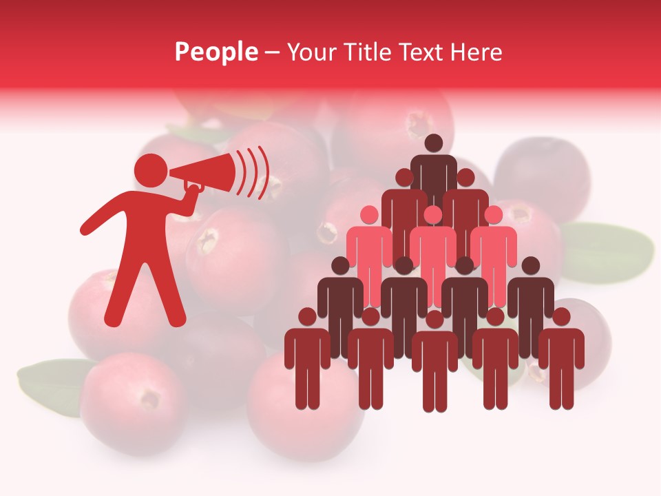 Red Cranberry Eating PowerPoint Template
