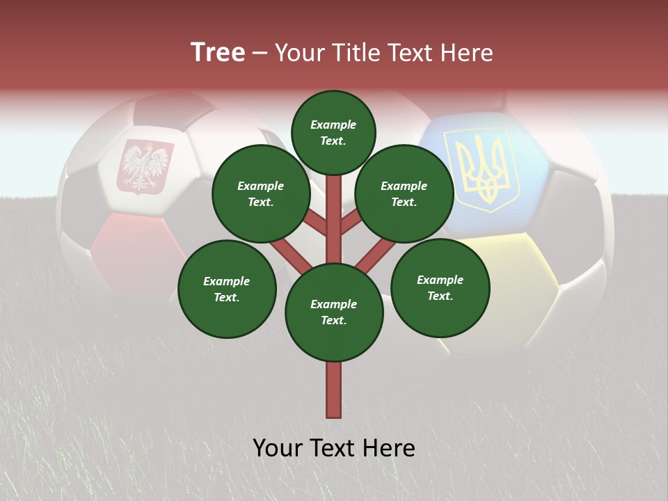 Euro Poland Pitch PowerPoint Template