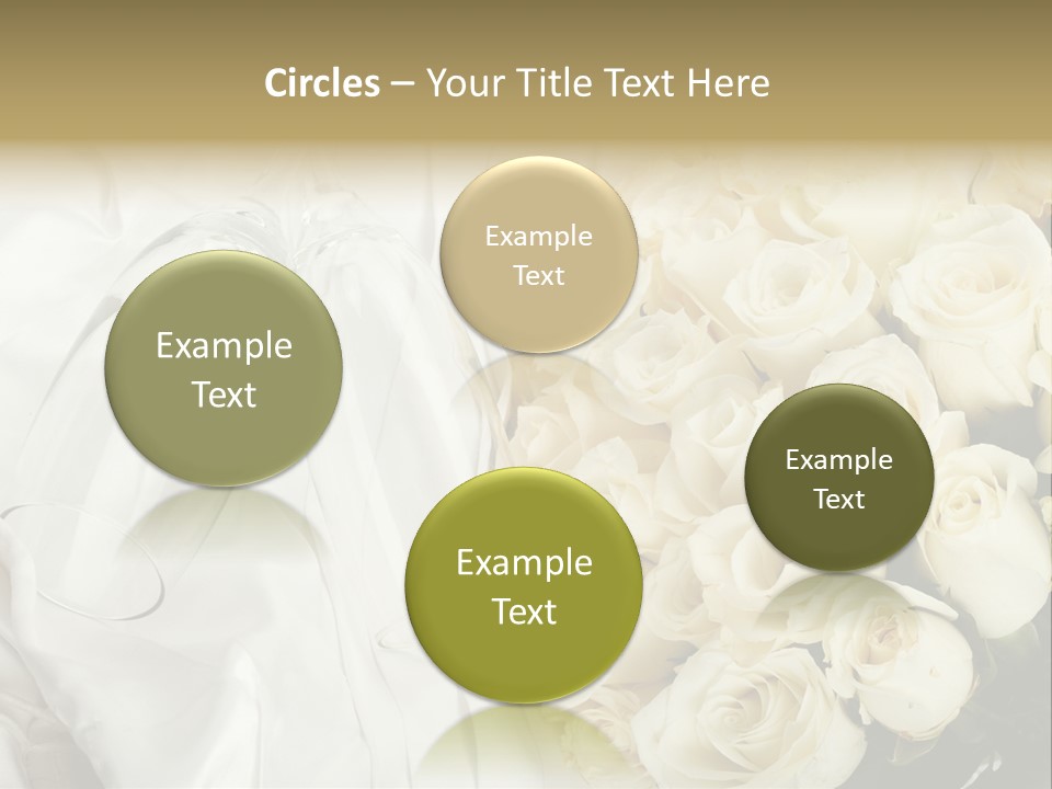 Rose Nature Detail PowerPoint Template