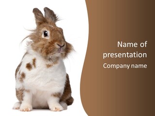 Animal Cut Out Furry PowerPoint Template