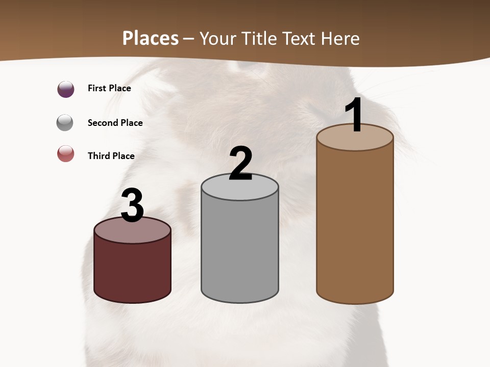 Animal Cut Out Furry PowerPoint Template