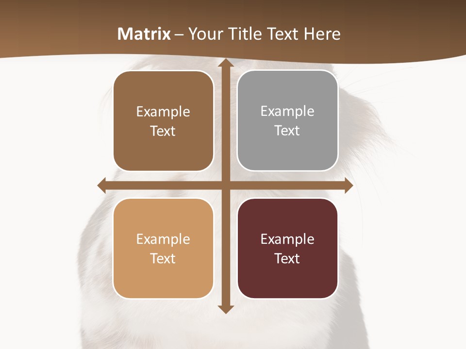 Animal Cut Out Furry PowerPoint Template