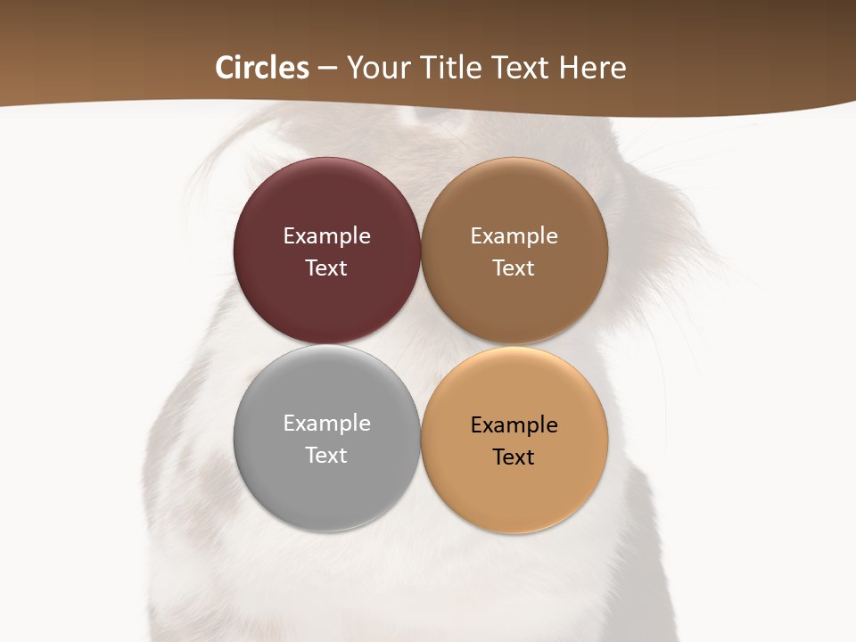 Animal Cut Out Furry PowerPoint Template