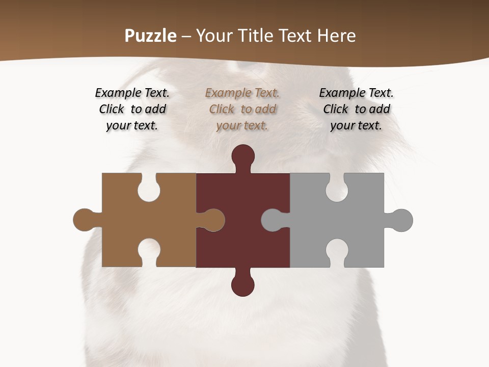 Animal Cut Out Furry PowerPoint Template