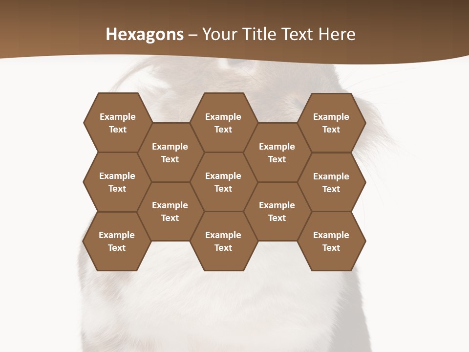 Animal Cut Out Furry PowerPoint Template