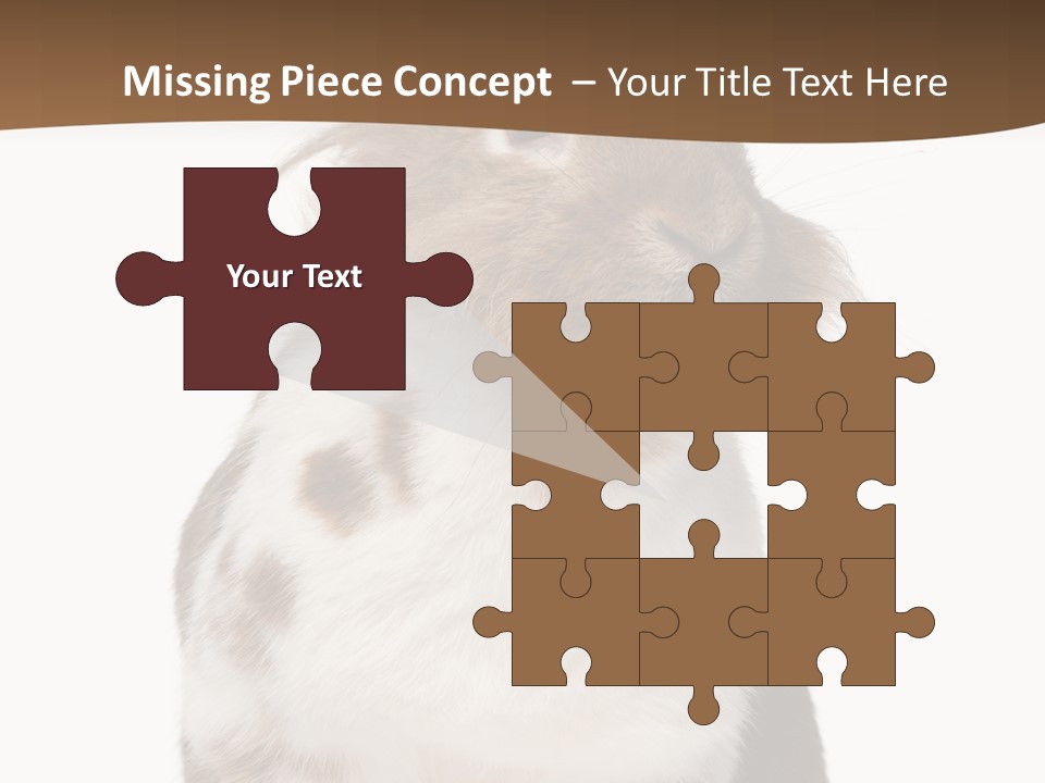 Animal Cut Out Furry PowerPoint Template