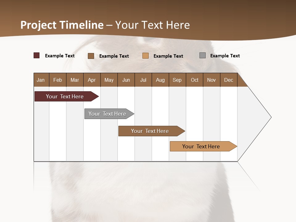Animal Cut Out Furry PowerPoint Template