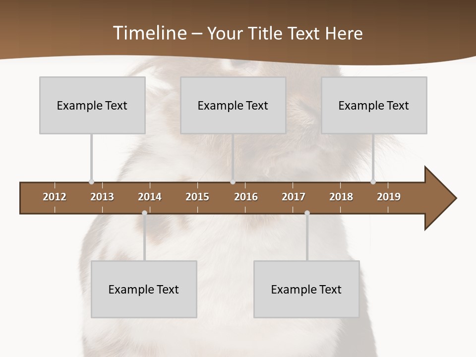 Animal Cut Out Furry PowerPoint Template