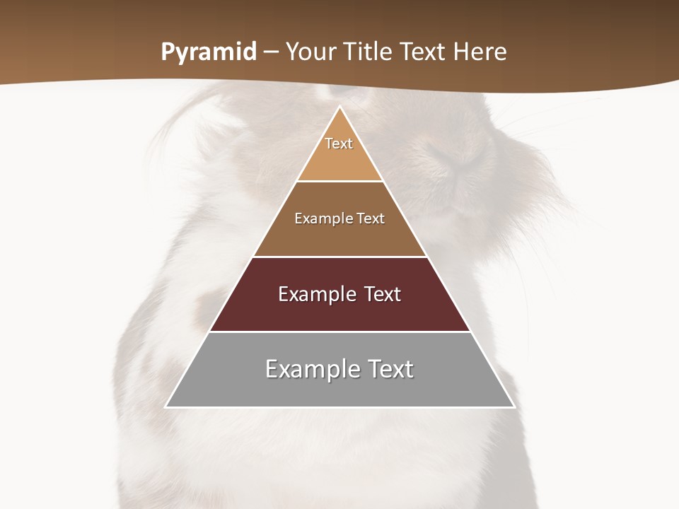 Animal Cut Out Furry PowerPoint Template