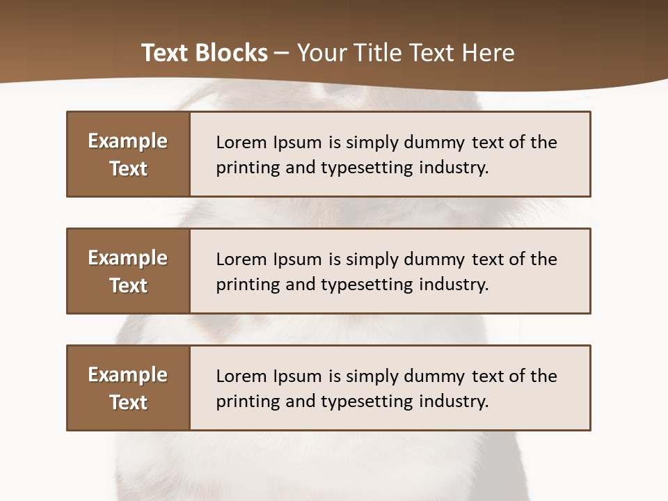 Animal Cut Out Furry PowerPoint Template