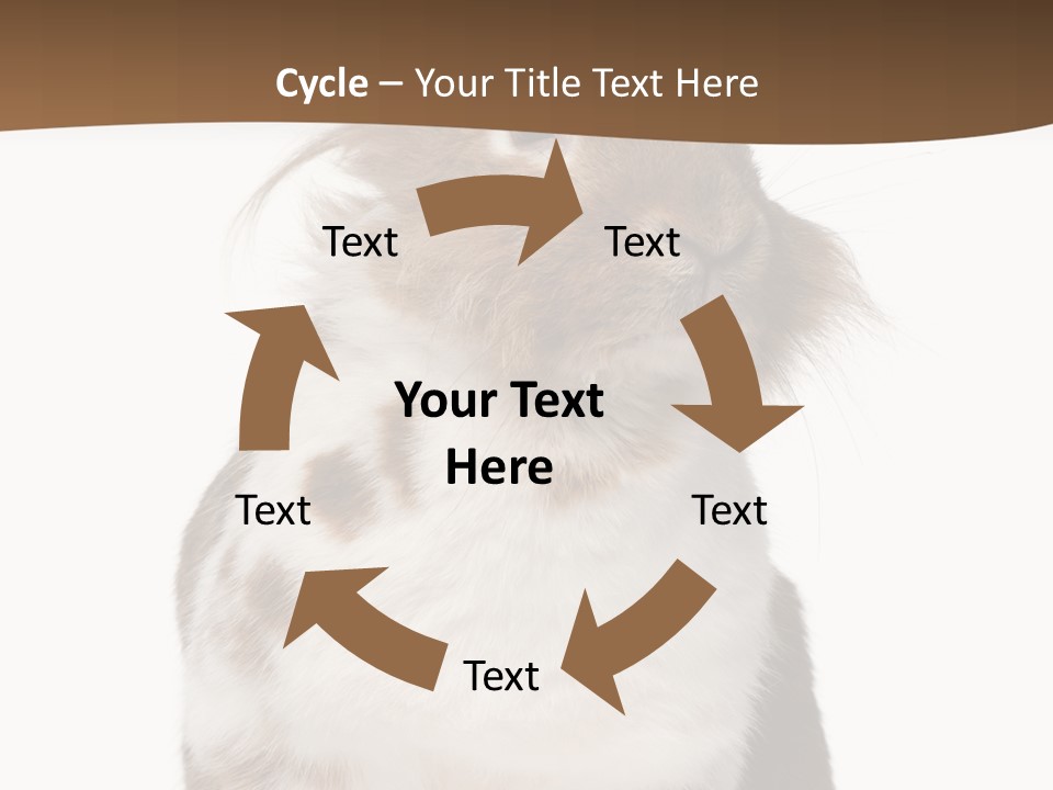 Animal Cut Out Furry PowerPoint Template