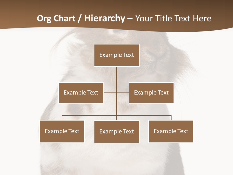 Animal Cut Out Furry PowerPoint Template