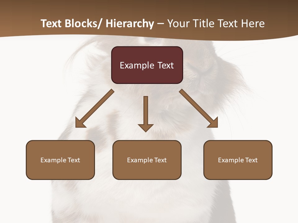 Animal Cut Out Furry PowerPoint Template