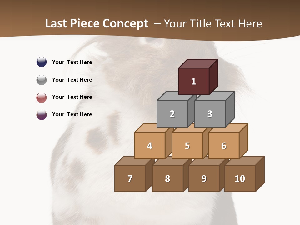 Animal Cut Out Furry PowerPoint Template