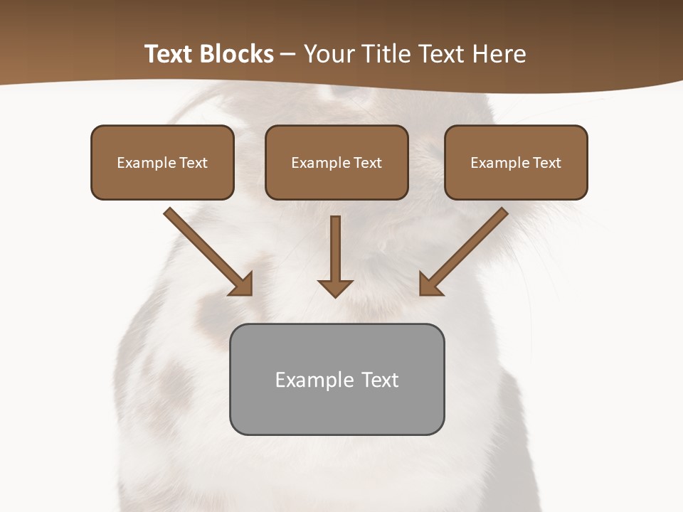 Animal Cut Out Furry PowerPoint Template