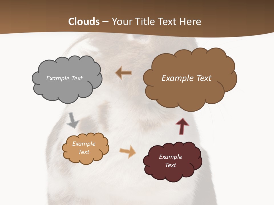 Animal Cut Out Furry PowerPoint Template