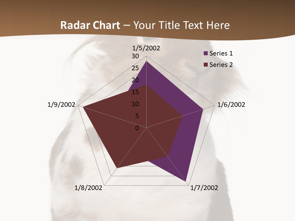 Animal Cut Out Furry PowerPoint Template