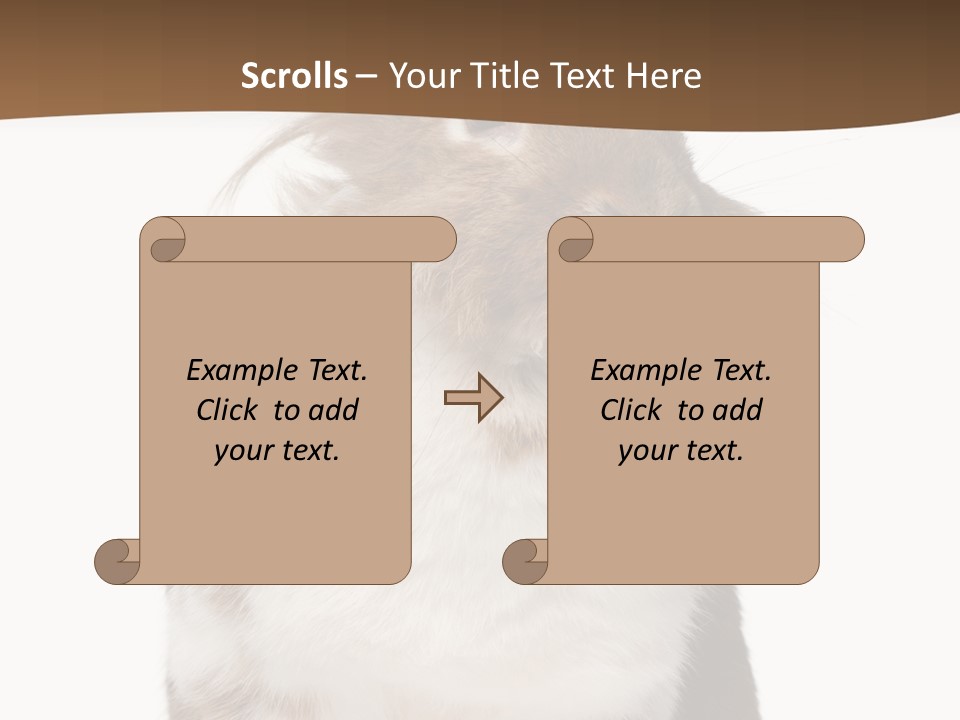 Animal Cut Out Furry PowerPoint Template