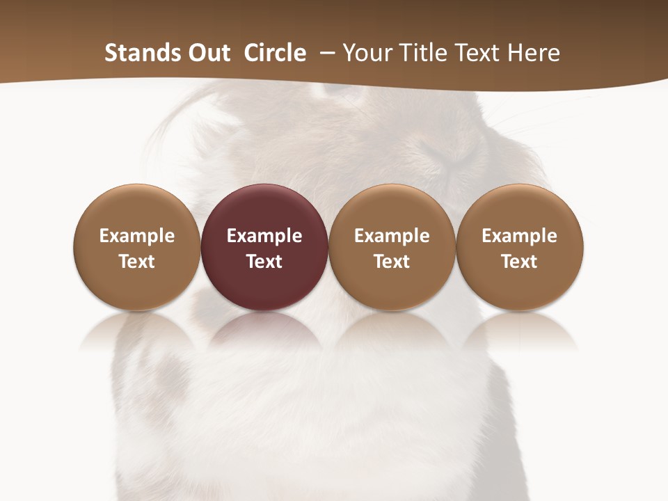 Animal Cut Out Furry PowerPoint Template