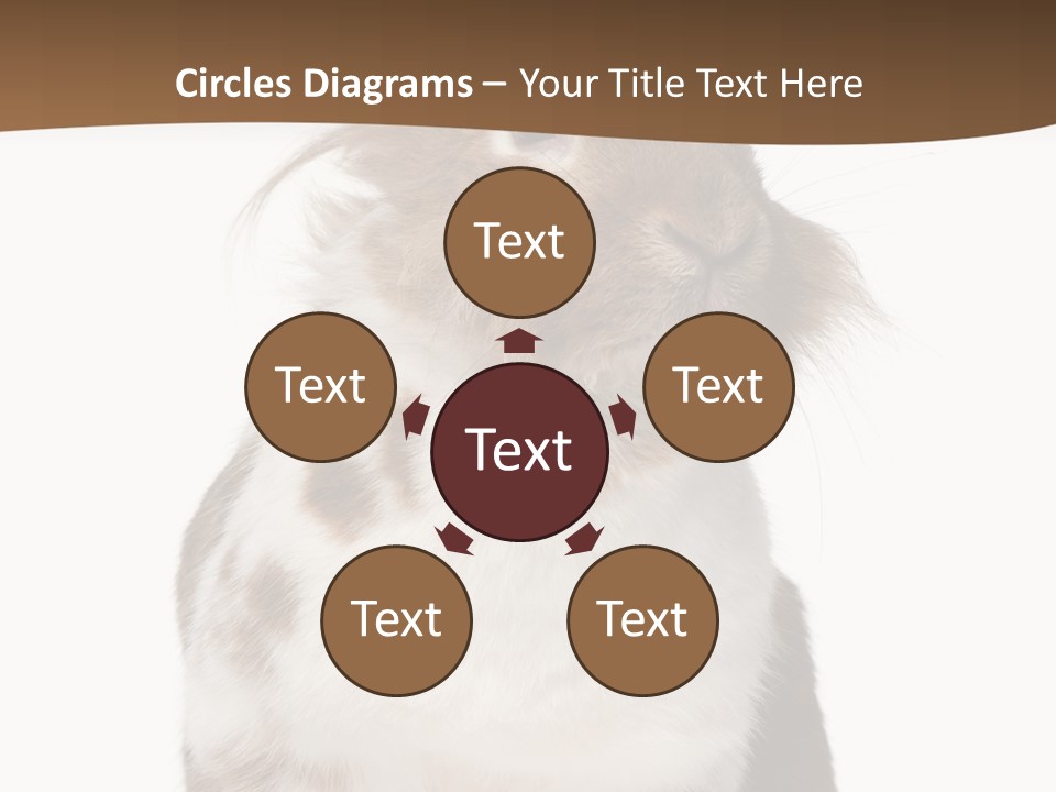 Animal Cut Out Furry PowerPoint Template