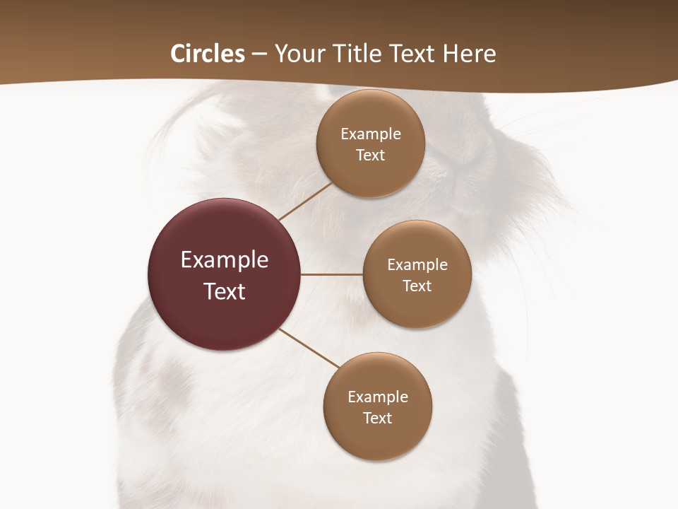Animal Cut Out Furry PowerPoint Template