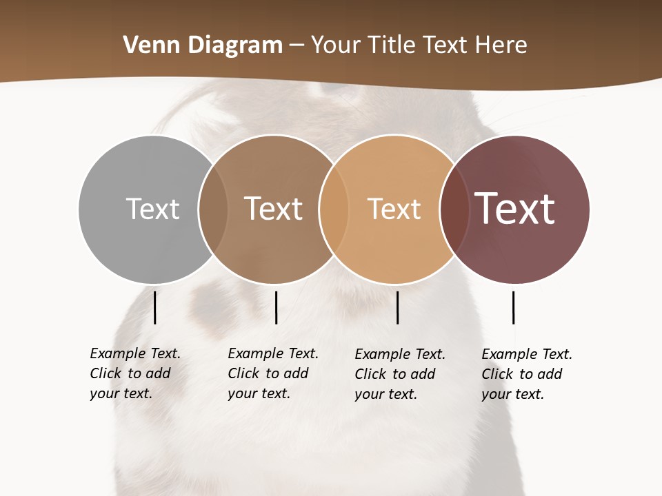 Animal Cut Out Furry PowerPoint Template