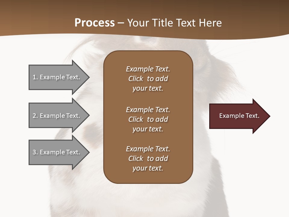Animal Cut Out Furry PowerPoint Template