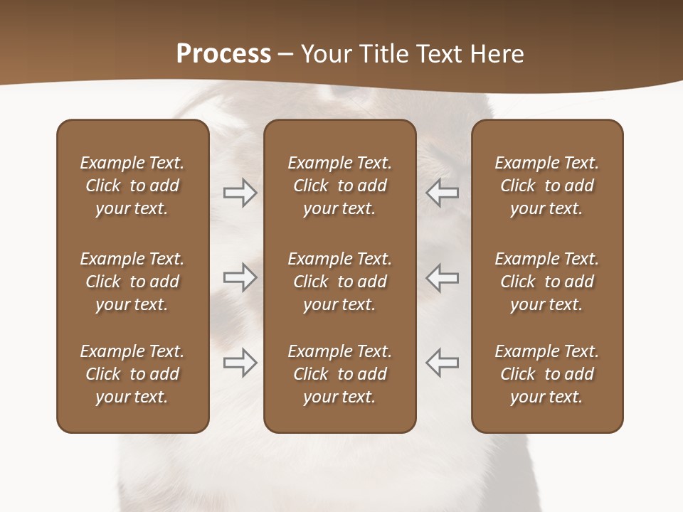 Animal Cut Out Furry PowerPoint Template