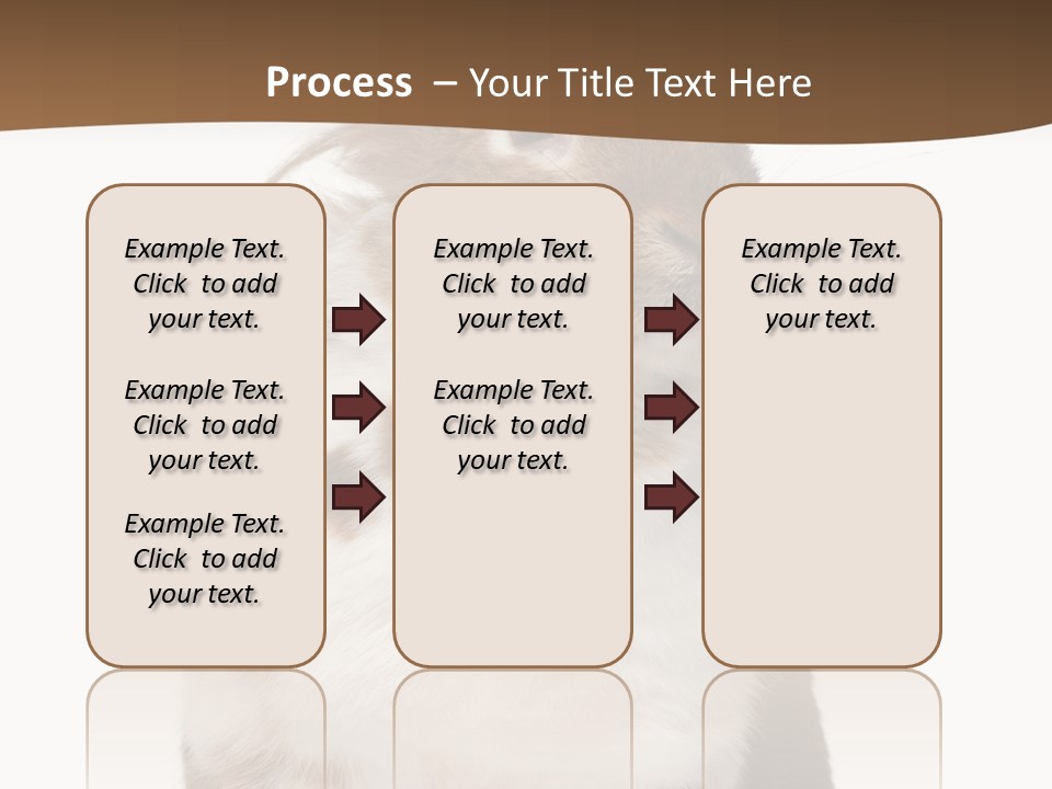 Animal Cut Out Furry PowerPoint Template