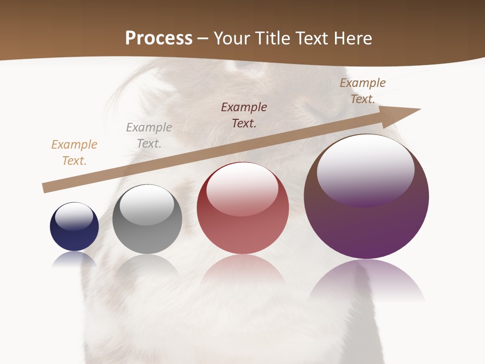 Animal Cut Out Furry PowerPoint Template
