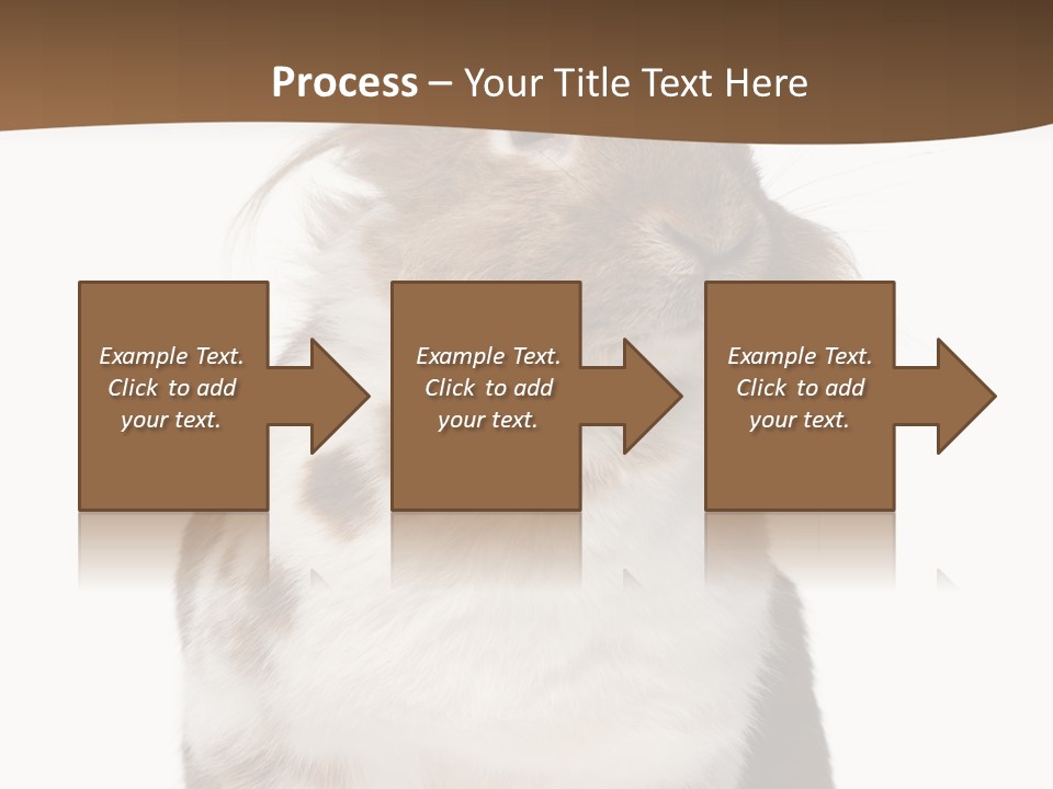Animal Cut Out Furry PowerPoint Template
