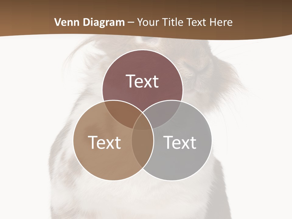 Animal Cut Out Furry PowerPoint Template