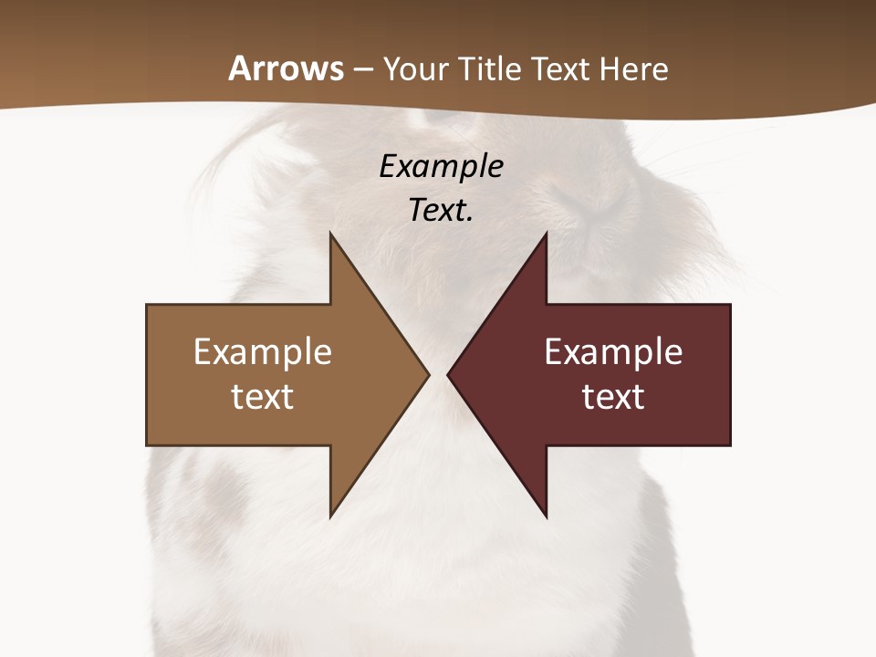 Animal Cut Out Furry PowerPoint Template