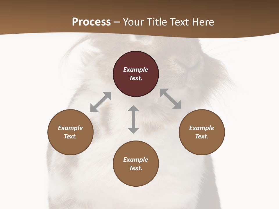 Animal Cut Out Furry PowerPoint Template