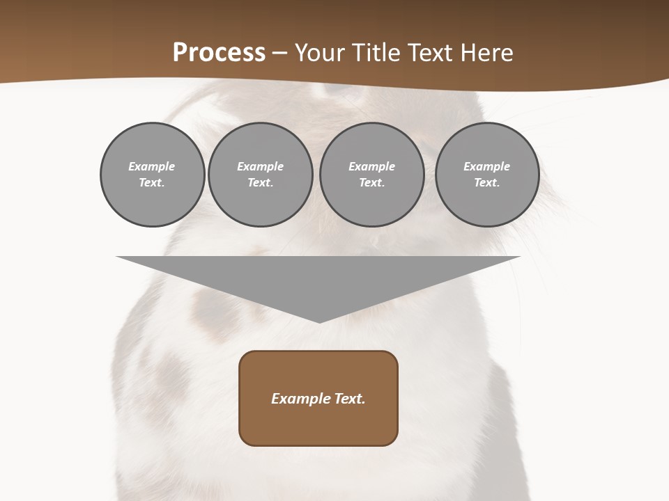 Animal Cut Out Furry PowerPoint Template
