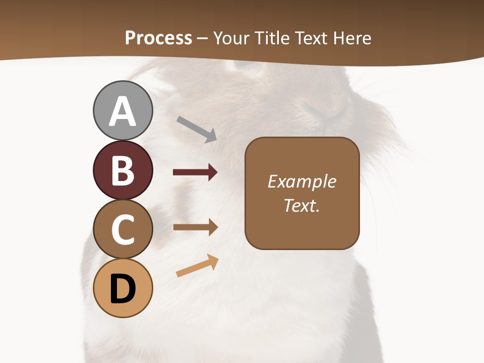 Animal Cut Out Furry PowerPoint Template