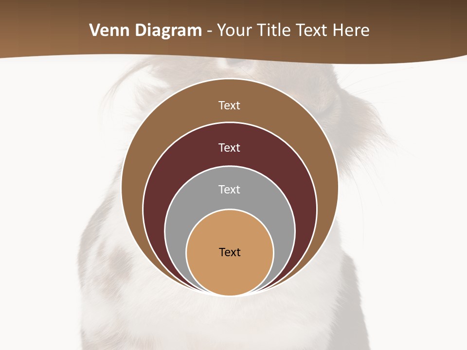 Animal Cut Out Furry PowerPoint Template