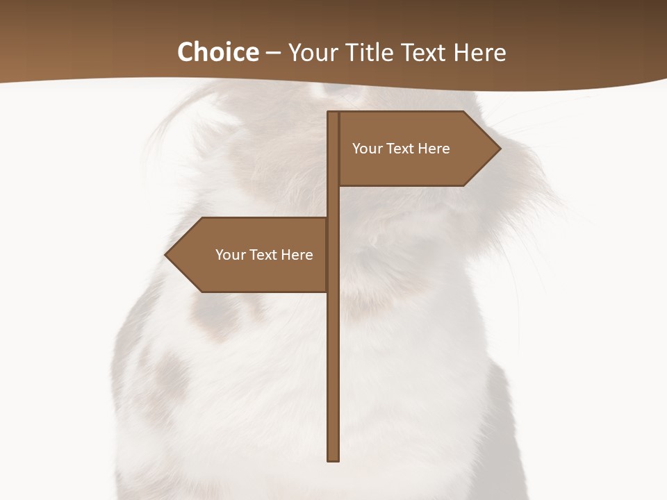 Animal Cut Out Furry PowerPoint Template