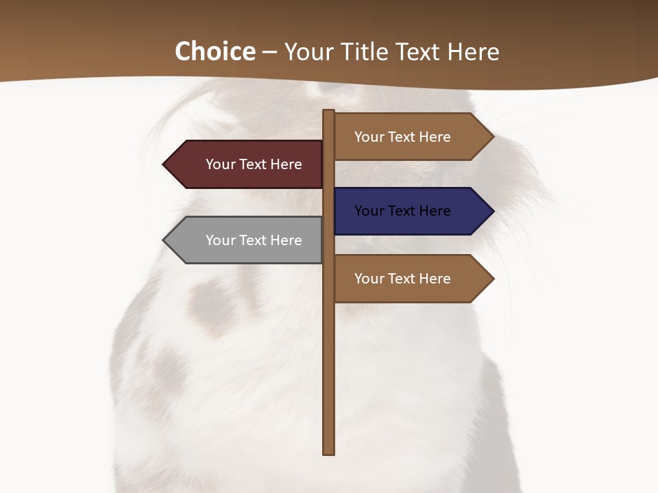 Animal Cut Out Furry PowerPoint Template