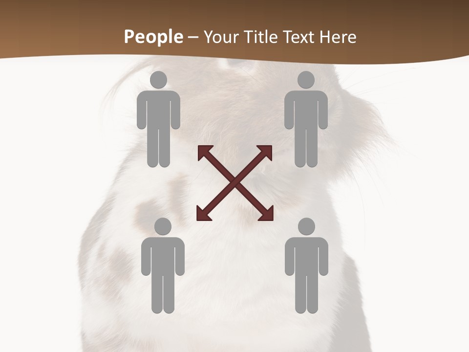 Animal Cut Out Furry PowerPoint Template
