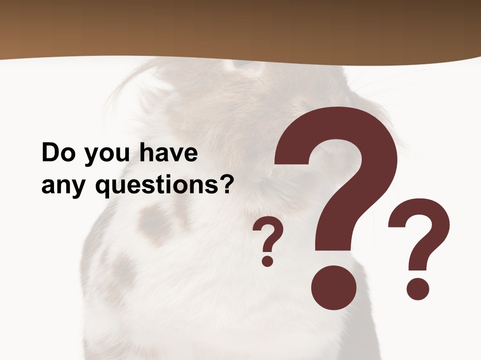 Animal Cut Out Furry PowerPoint Template