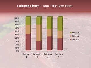 Eat Meat Ingredient PowerPoint Template