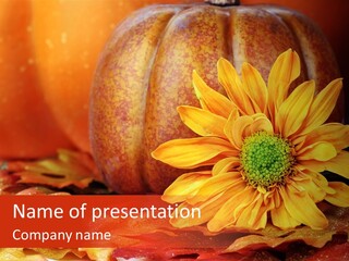 Bouquet Colorful Holiday PowerPoint Template