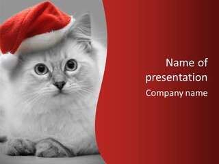 Hat Kitten Cat PowerPoint Template