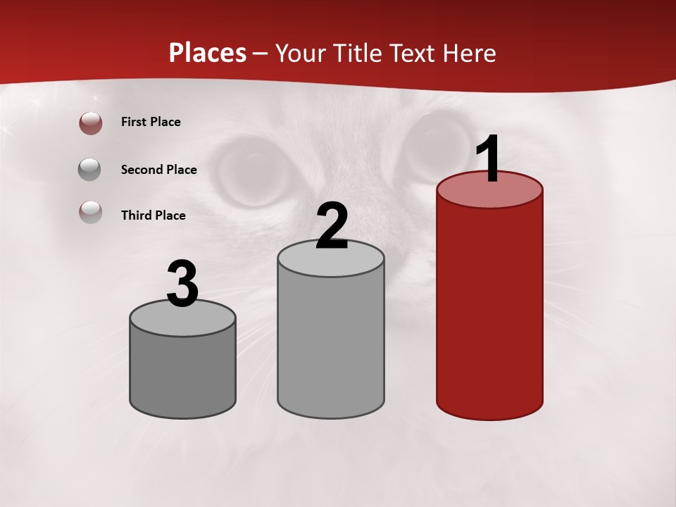 Hat Kitten Cat PowerPoint Template