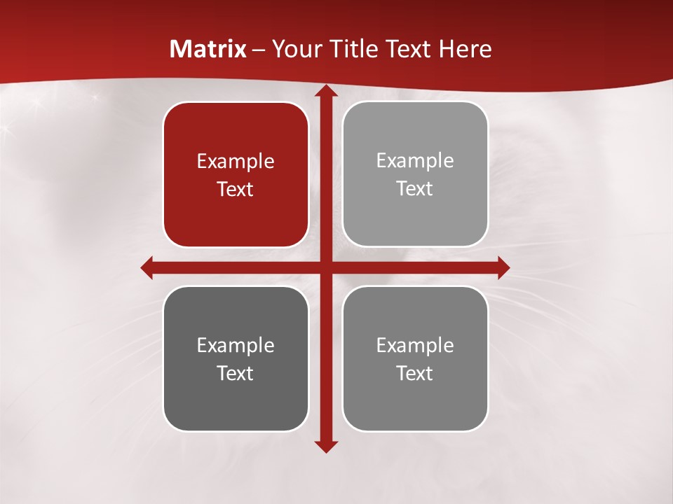 Hat Kitten Cat PowerPoint Template