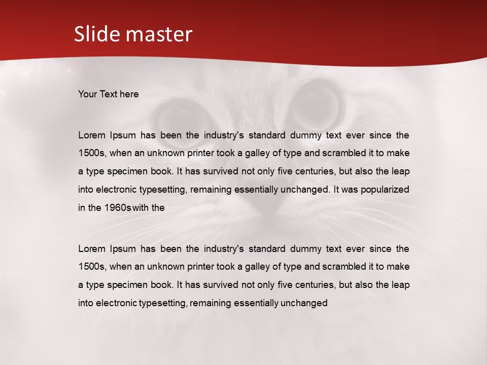 Hat Kitten Cat PowerPoint Template