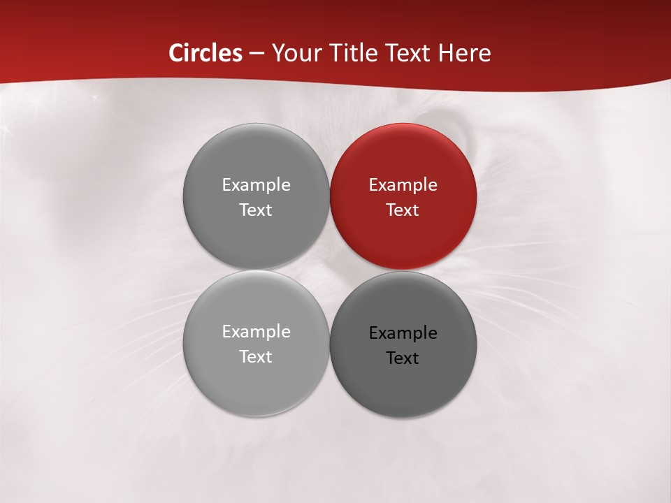 Hat Kitten Cat PowerPoint Template