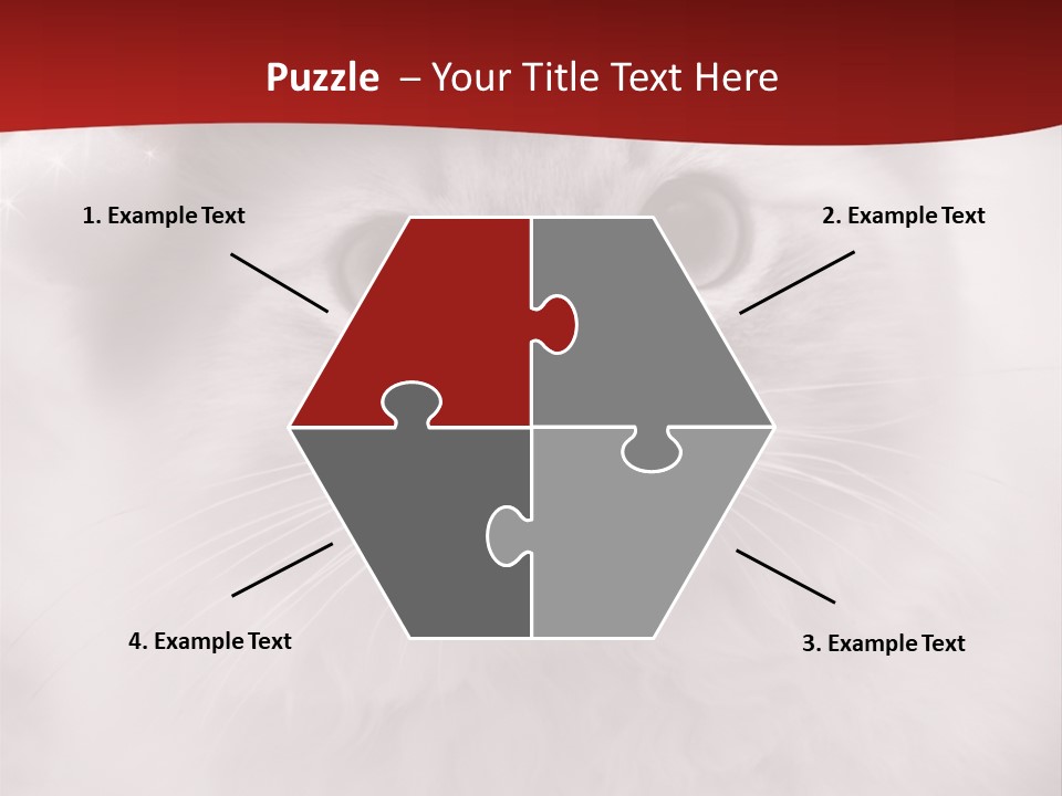 Hat Kitten Cat PowerPoint Template